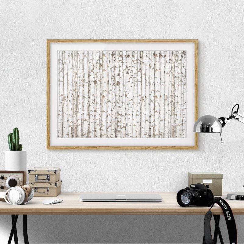

Póster enmarcado - No.YK15 Birch Wall Dimensión LxA: 40cm x 55cm, Marco: Roble