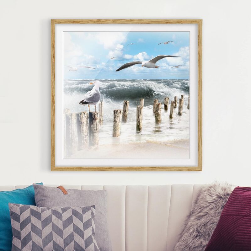 

Póster enmarcado - No.Yk3 Absolute Sylt Dimensión LxA: 30cm x 30cm, Marco: Roble