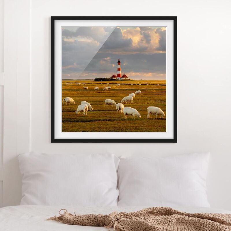

Póster enmarcado - North Sea Lighthouse With Sheep Flock Dimensión LxA: 50cm x 50cm, Marco: Negro