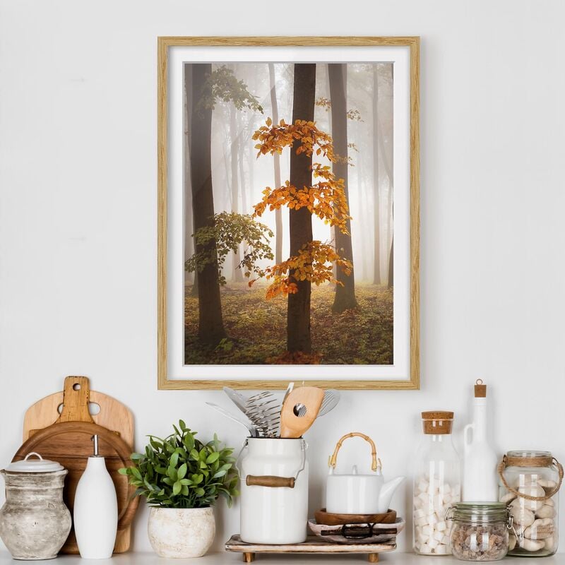 

Póster enmarcado - November Forest Dimensión LxA: 40cm x 30cm, Marco: Roble