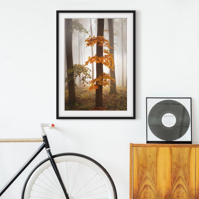

Póster enmarcado - November Forest Dimensión LxA: 55cm x 40cm, Marco: Negro