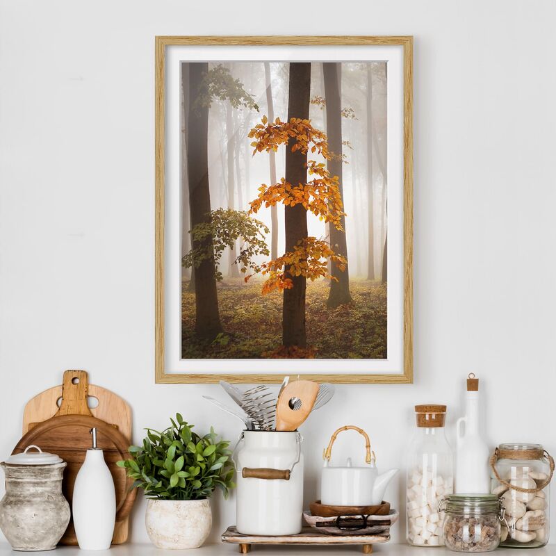 

Póster enmarcado - November Forest Dimensión LxA: 100cm x 70cm, Marco: Roble