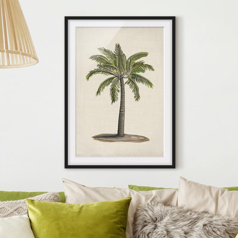 

Póster enmarcado - Palme Britannici I Dimensión LxA: 100cm x 70cm, Marco: Negro