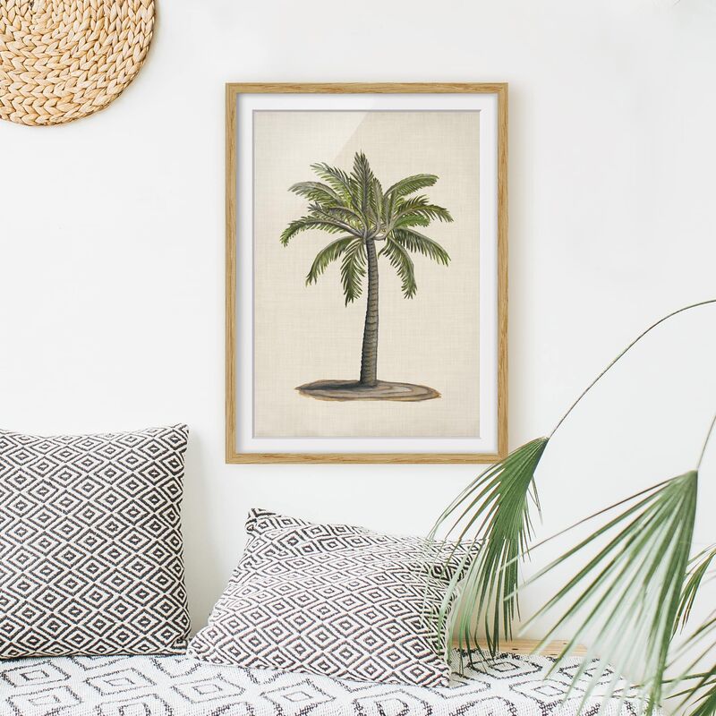 

Póster enmarcado - Palme Britannici I Dimensión LxA: 70cm x 50cm, Marco: Roble