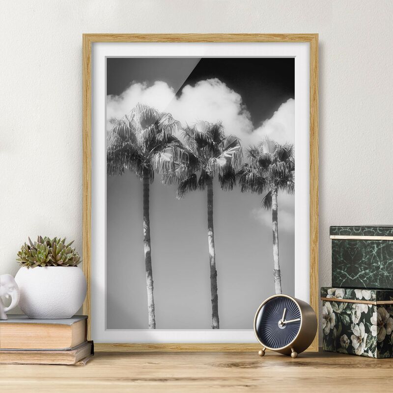 

Póster enmarcado - Palme Davanti il cielo bianco e nero Dimensión LxA: 70cm x 50cm, Marco: Roble