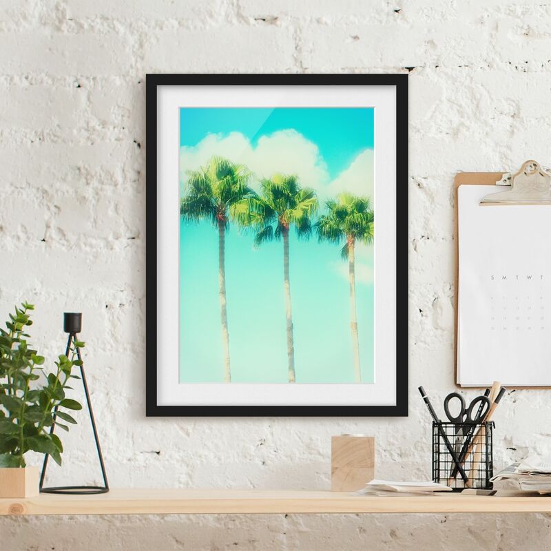 

Póster enmarcado - Palme Di Fronte Cielo Blu Dimensión LxA: 70cm x 50cm, Marco: Negro
