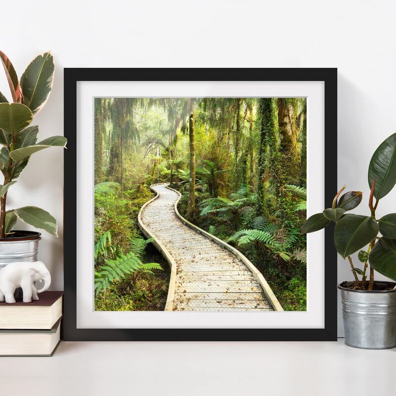

Póster enmarcado - Path In The Jungle Dimensión LxA: 50cm x 50cm, Marco: Negro