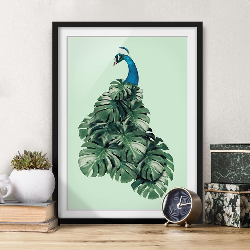 

Póster enmarcado - Pavone con Monstera Foglie Dimensión LxA: 40cm x 30cm, Marco: Negro