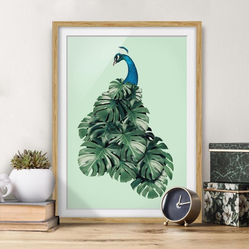 

Póster enmarcado - Pavone con Monstera Foglie Dimensión LxA: 24cm x 18cm, Marco: Roble