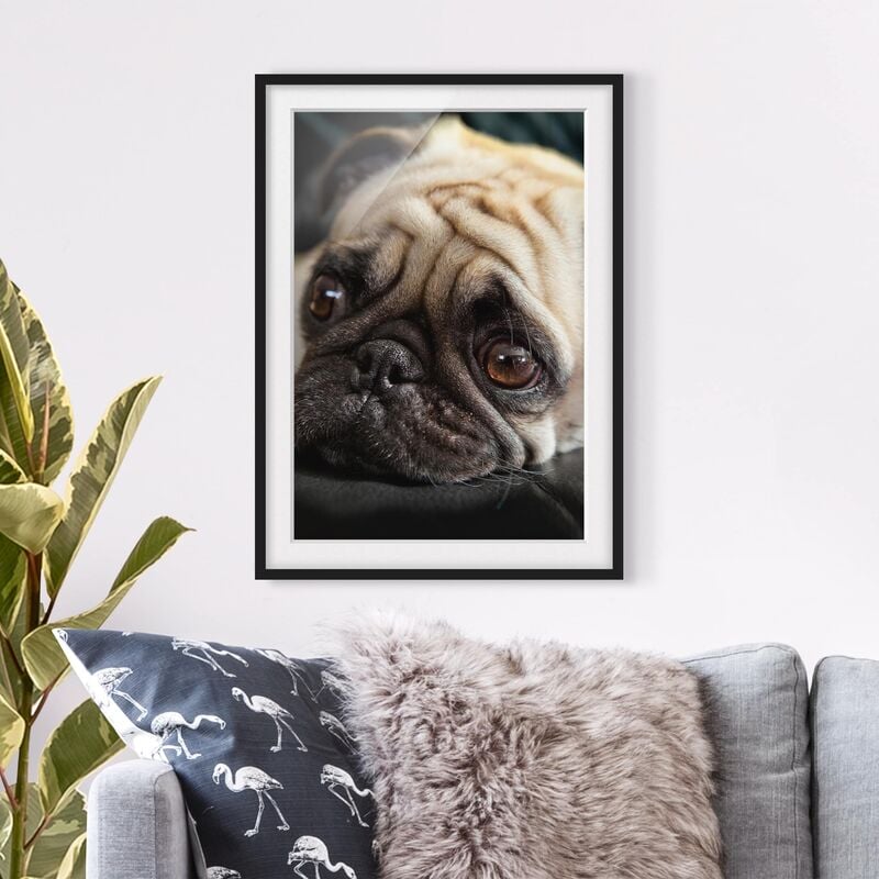 

Póster enmarcado - Pensive Pug Dimensión LxA: 24cm x 18cm, Marco: Negro