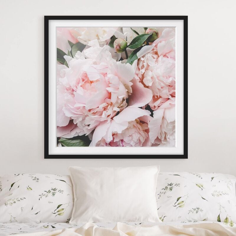 

Póster enmarcado - Peonie rosa chiaro Dimensión LxA: 30cm x 30cm, Marco: Negro
