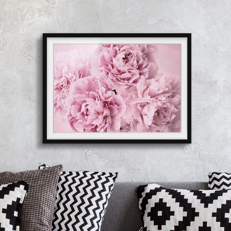 

Póster enmarcado - peonie rosa Dimensión LxA: 50cm x 70cm, Marco: Negro