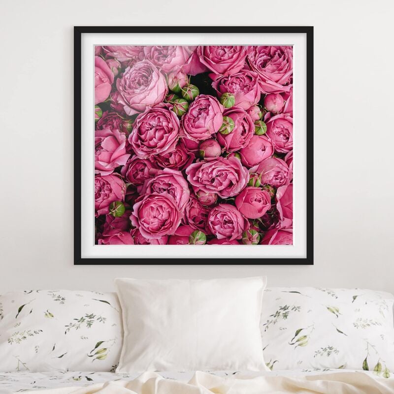 

Póster enmarcado - peonie rosa Dimensión LxA: 70cm x 70cm, Marco: Negro
