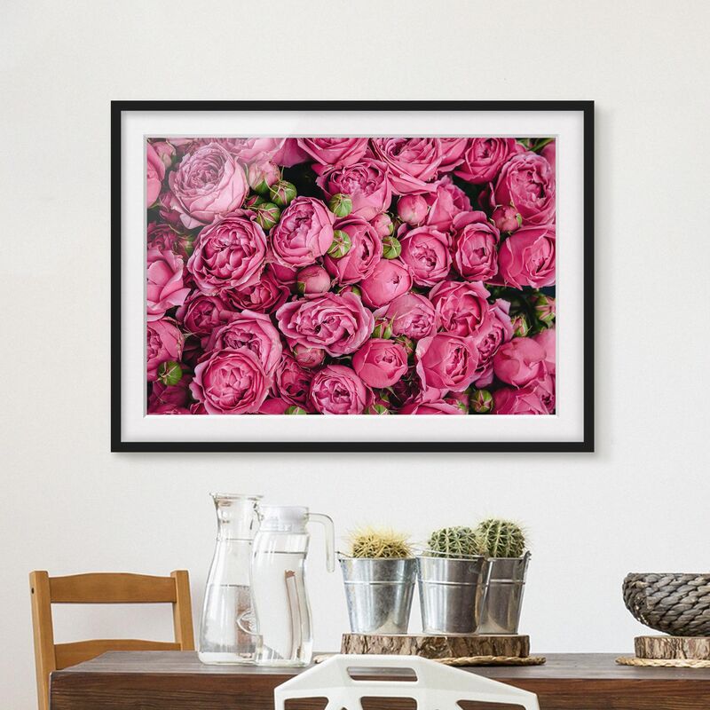 

Póster enmarcado - peonie rosa Dimensión LxA: 70cm x 100cm, Marco: Negro