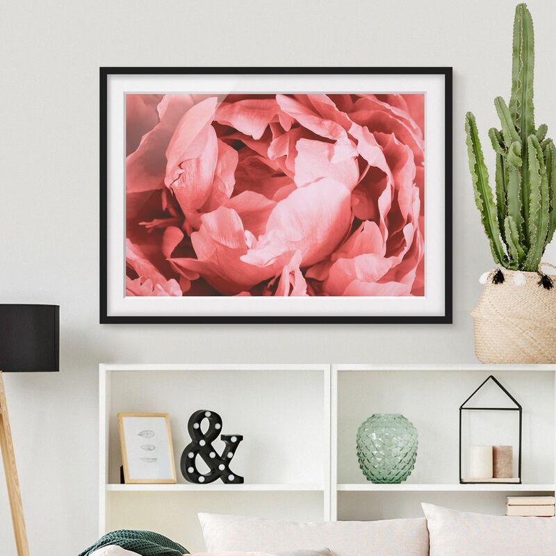 

Póster enmarcado - Peony di corallo del fiore Dimensión LxA: 30cm x 40cm, Marco: Negro
