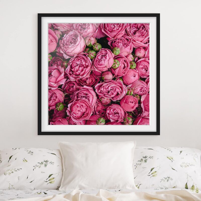 

Póster enmarcado - peonie rosa Dimensión LxA: 50cm x 50cm, Marco: Negro