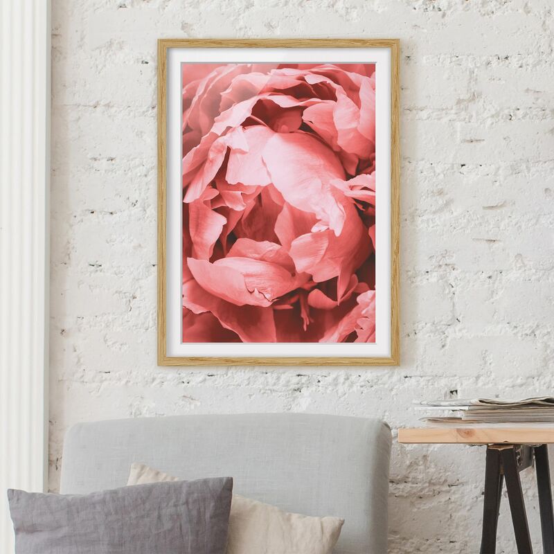 

Póster enmarcado - Peony di corallo del fiore Dimensión LxA: 100cm x 70cm, Marco: Roble
