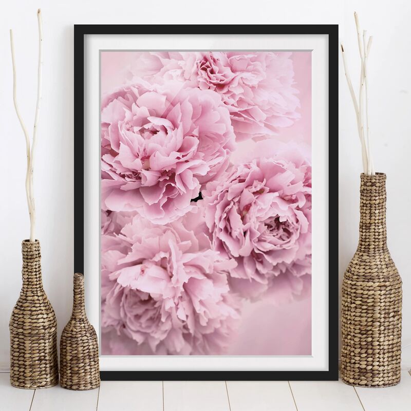 

Póster enmarcado - peonie rosa Dimensión LxA: 40cm x 30cm, Marco: Negro