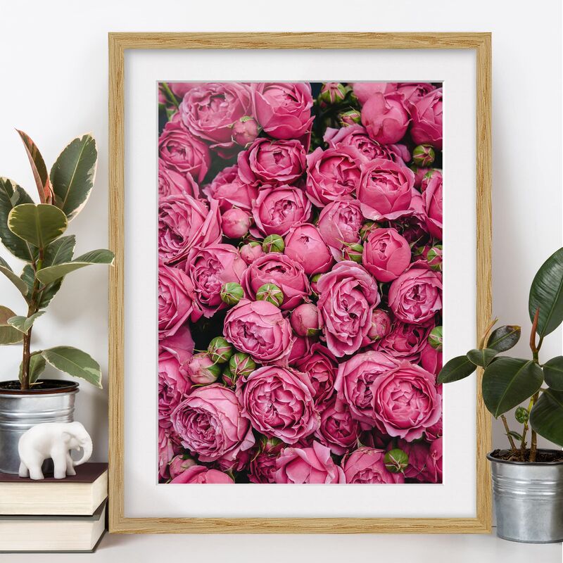

Póster enmarcado - peonie rosa Dimensión LxA: 40cm x 30cm, Marco: Roble