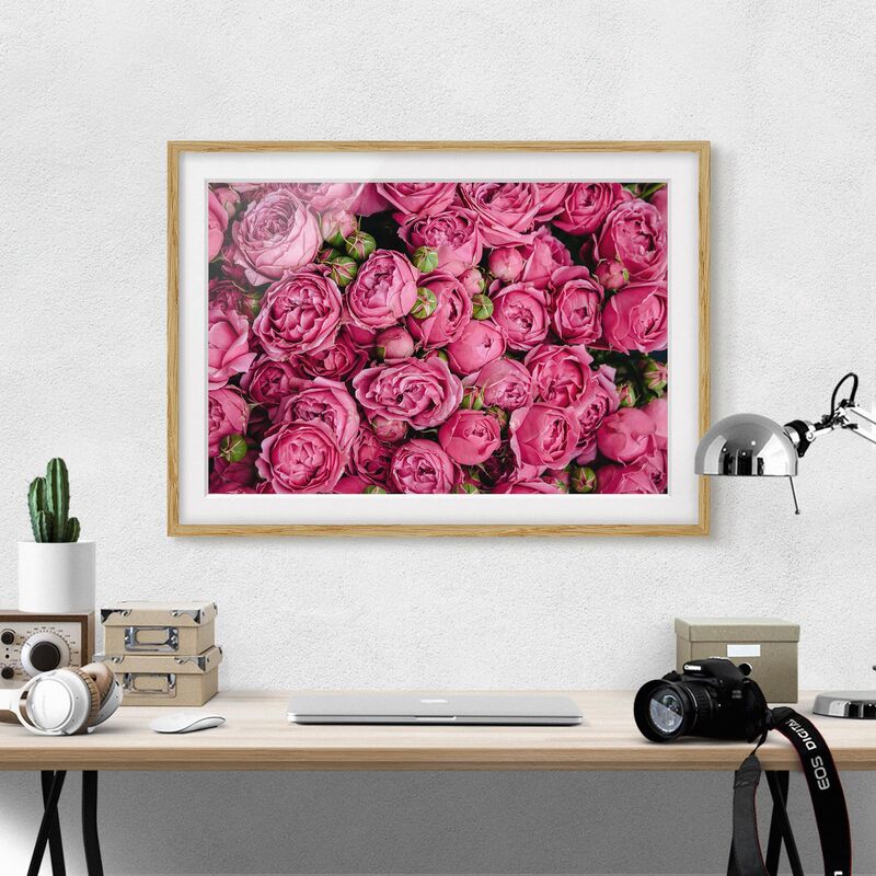 

Póster enmarcado - peonie rosa Dimensión LxA: 70cm x 100cm, Marco: Roble