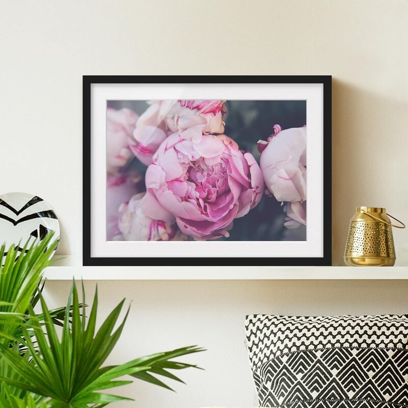 

Póster enmarcado - Peony fiore misero Dimensión LxA: 70cm x 100cm, Marco: Negro