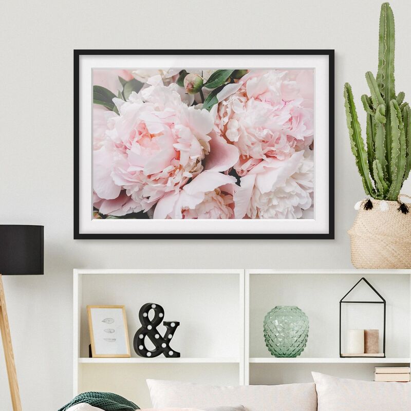 

Póster enmarcado - Peonie rosa chiaro Dimensión LxA: 30cm x 40cm, Marco: Negro