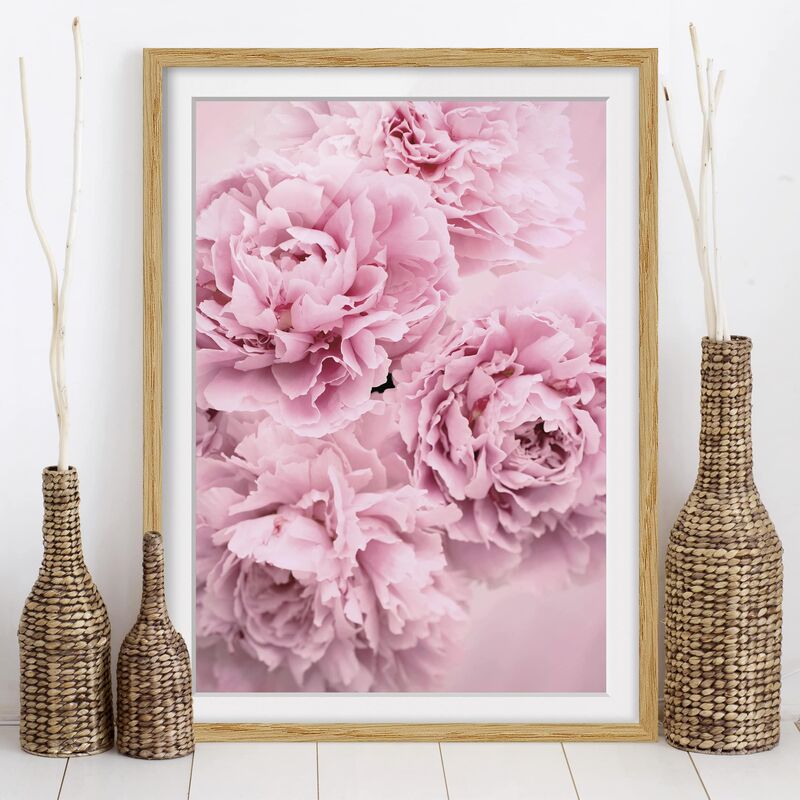 

Póster enmarcado - peonie rosa Dimensión LxA: 70cm x 50cm, Marco: Roble