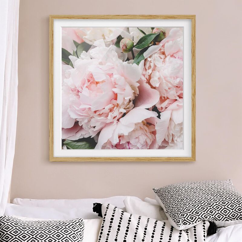 

Póster enmarcado - Peonie rosa chiaro Dimensión LxA: 70cm x 70cm, Marco: Roble