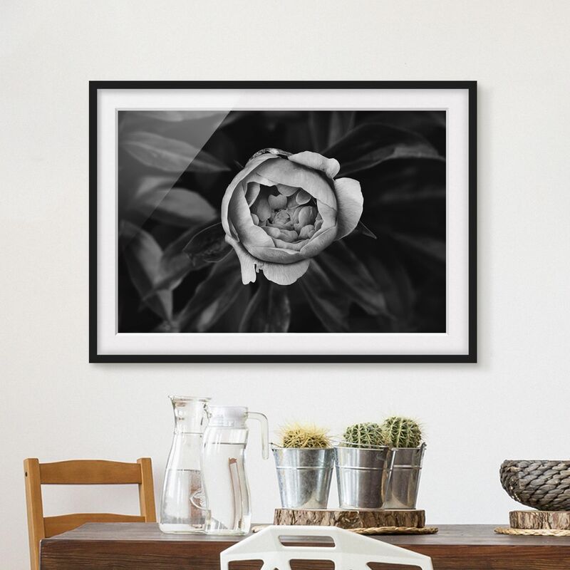 

Póster enmarcado - Peony fiore bianco frontale nero Foglie Dimensión LxA: 70cm x 100cm, Marco: Negro