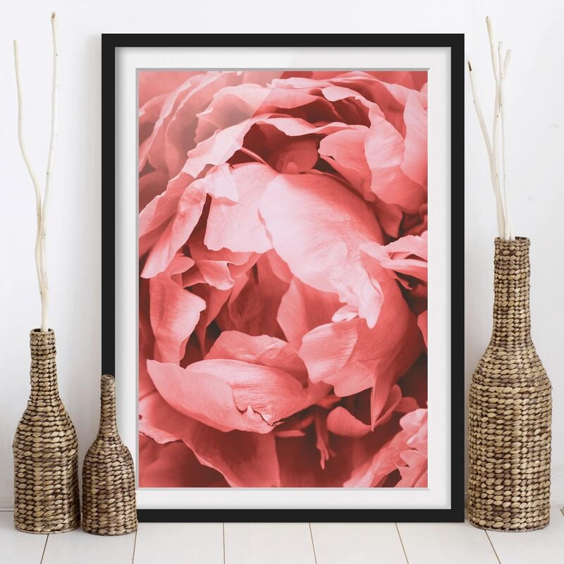 

Póster enmarcado - Peony di corallo del fiore Dimensión LxA: 24cm x 18cm, Marco: Negro