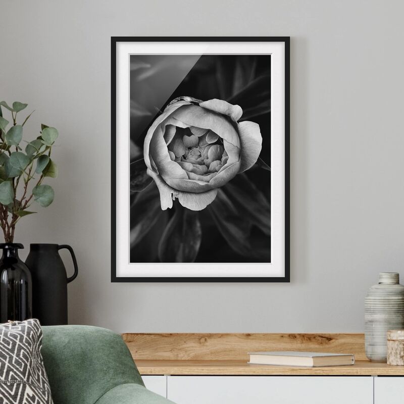 

Póster enmarcado - Peony fiore bianco frontale nero Foglie Dimensión LxA: 40cm x 30cm, Marco: Negro