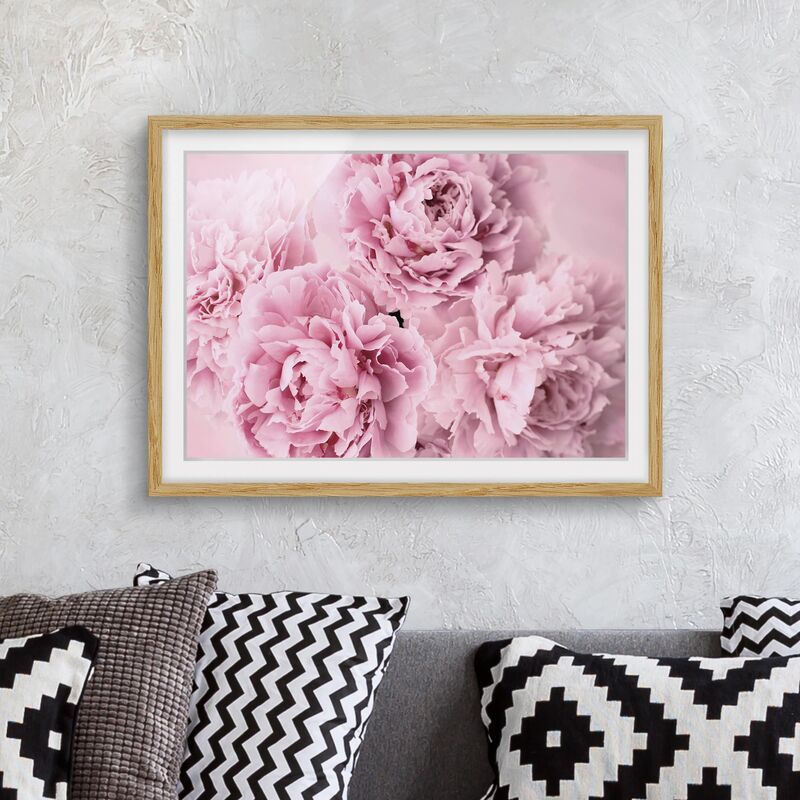 

Póster enmarcado - peonie rosa Dimensión LxA: 30cm x 40cm, Marco: Roble