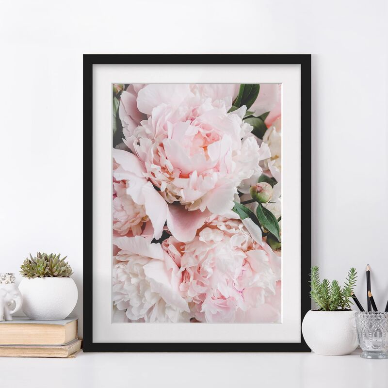 

Póster enmarcado - Peonie rosa chiaro Dimensión LxA: 100cm x 70cm, Marco: Negro