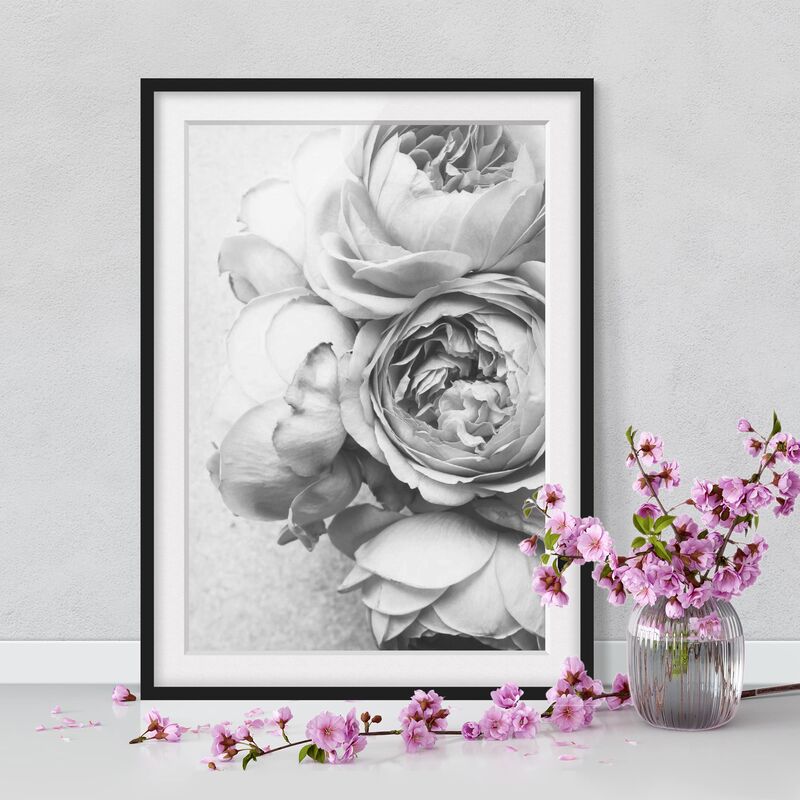 

Póster enmarcado - Peony fiori bianchi e nero Dimensión LxA: 55cm x 40cm, Marco: Negro