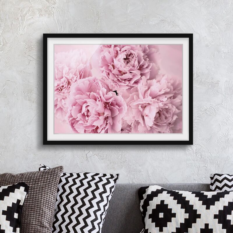 

Póster enmarcado - peonie rosa Dimensión LxA: 30cm x 40cm, Marco: Negro