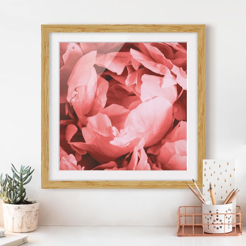 

Póster enmarcado - Peony di corallo del fiore Dimensión LxA: 20cm x 20cm, Marco: Roble