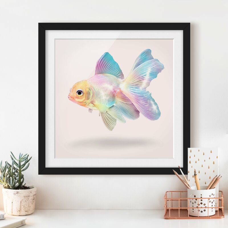 

Póster enmarcado - Pesce In Pastel Dimensión LxA: 50cm x 50cm, Marco: Negro