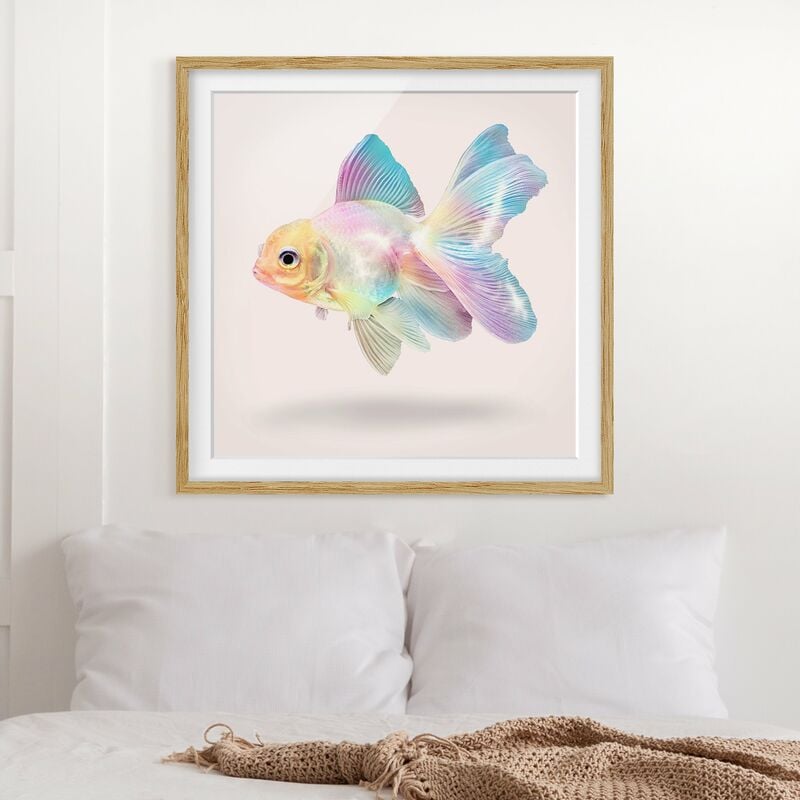 

Póster enmarcado - Pesce In Pastel Dimensión LxA: 20cm x 20cm, Marco: Roble