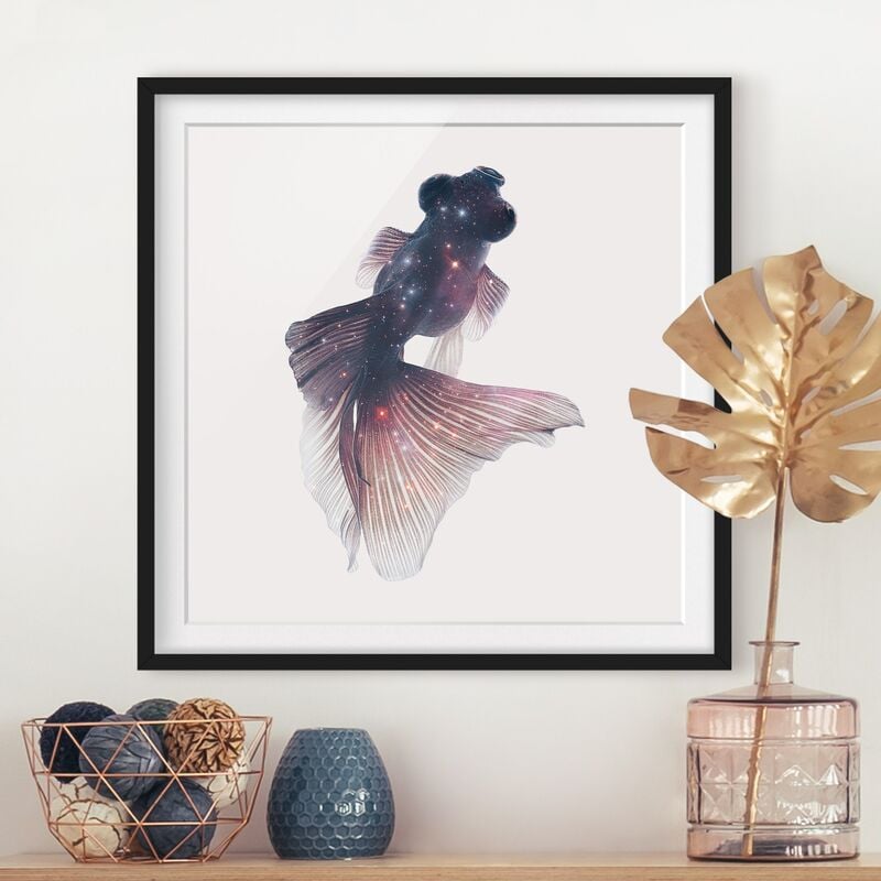

Póster enmarcado - Pesce Con Galaxy Dimensión LxA: 20cm x 20cm, Marco: Negro