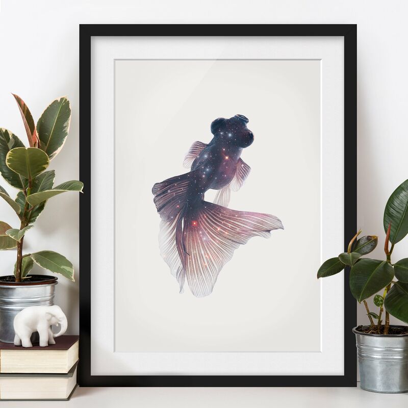

Póster enmarcado - Pesce Con Galaxy Dimensión LxA: 100cm x 70cm, Marco: Negro