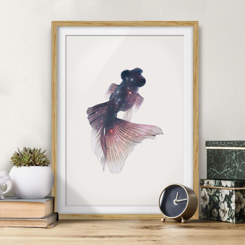 

Póster enmarcado - Pesce Con Galaxy Dimensión LxA: 100cm x 70cm, Marco: Roble