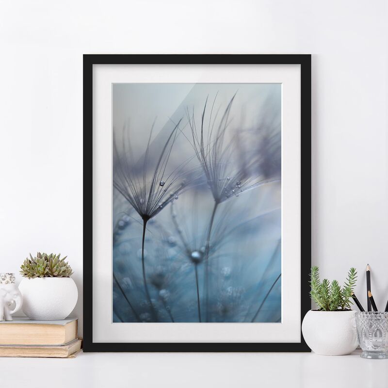 

Póster enmarcado - Piume blu Sotto La Pioggia Dimensión LxA: 55cm x 40cm, Marco: Negro