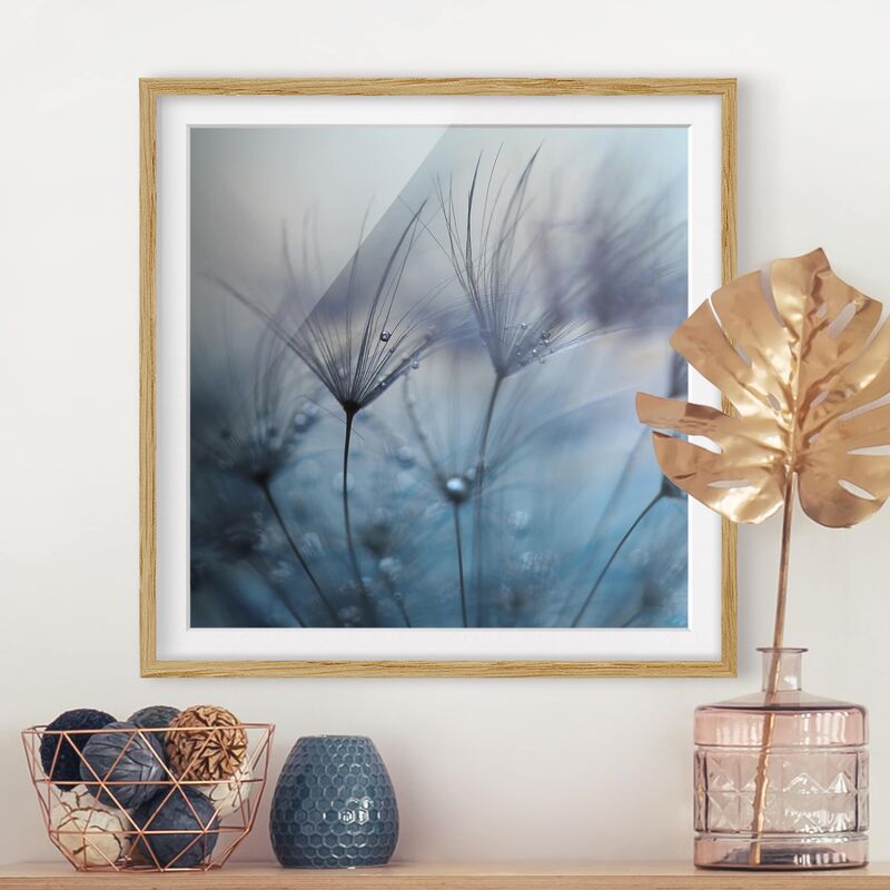 

Póster enmarcado - Piume blu Sotto La Pioggia Dimensión LxA: 30cm x 30cm, Marco: Roble