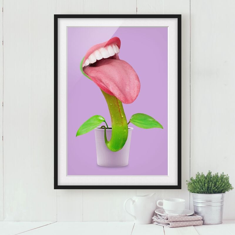 

Póster enmarcado - Pianta carnivora Con La Bocca Dimensión LxA: 24cm x 18cm, Marco: Negro