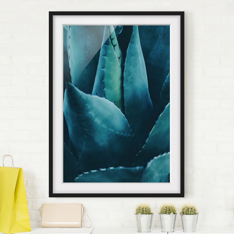 

Póster enmarcado - Pianta grassa in petrolio I Dimensión LxA: 24cm x 18cm, Marco: Negro