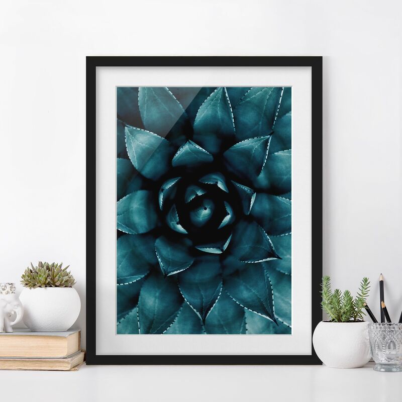 

Póster enmarcado - Pianta grassa in petrolio II Dimensión LxA: 55cm x 40cm, Marco: Negro