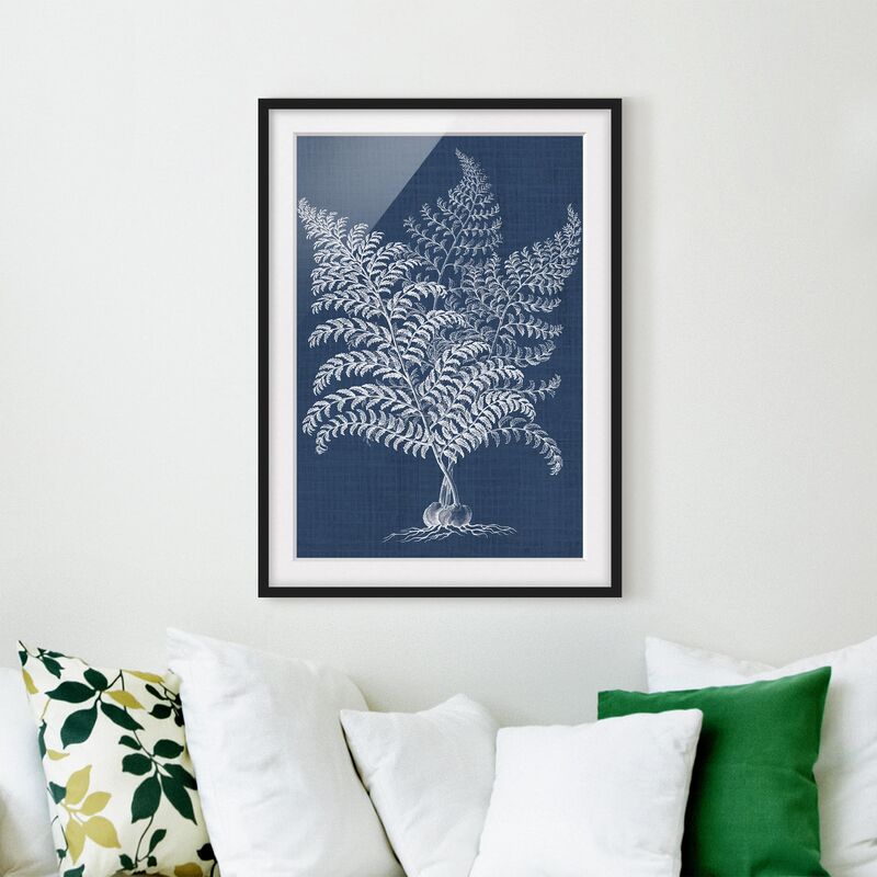

Póster enmarcado - Piante Denim Studio Vi Dimensión LxA: 55cm x 40cm, Marco: Negro
