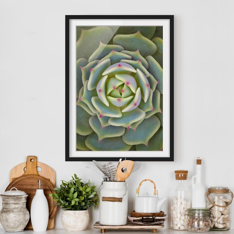 

Póster enmarcado - Pianta Grassa - Echeveria Ben Badis Dimensión LxA: 40cm x 30cm, Marco: Negro