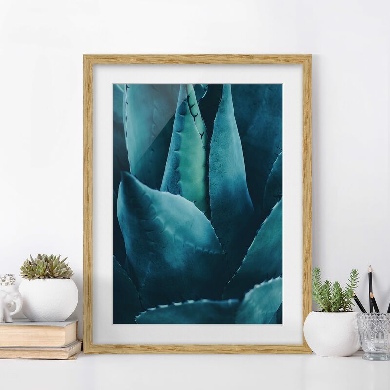 

Póster enmarcado - Pianta grassa in petrolio I Dimensión LxA: 55cm x 40cm, Marco: Roble