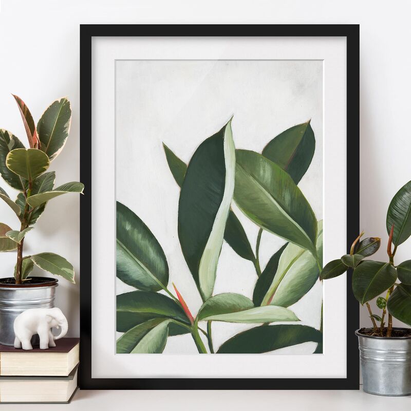 

Póster enmarcado - Piante Preferite - Albero Della Gomma Dimensión LxA: 70cm x 50cm, Marco: Negro